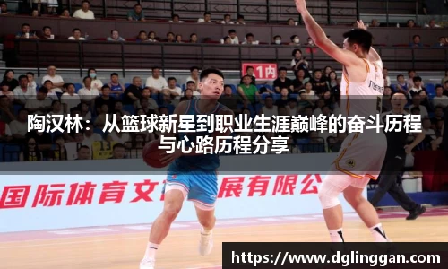 陶汉林：从篮球新星到职业生涯巅峰的奋斗历程与心路历程分享